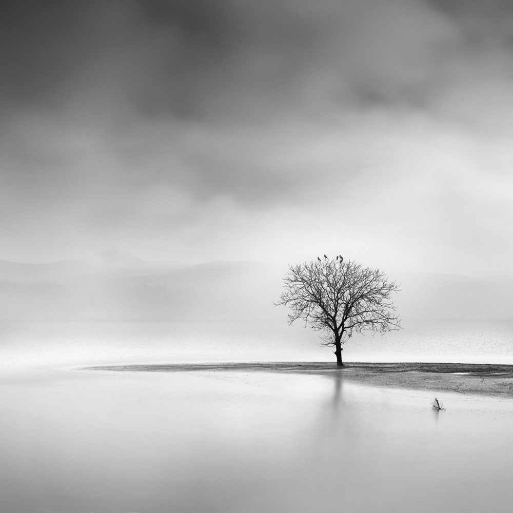 When Silence Is Mistaken for Peace